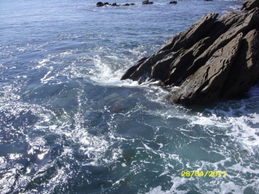 Bretagne 2011118.jpg