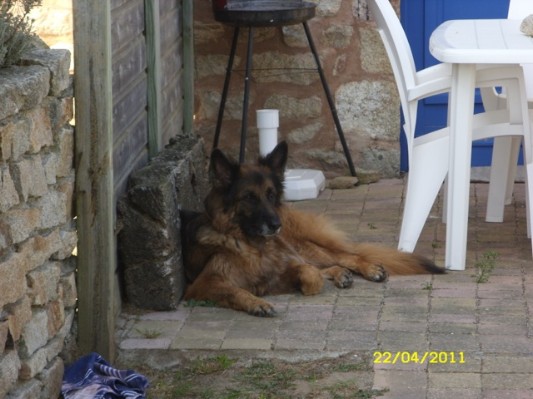 Bretagne 2011068.jpg