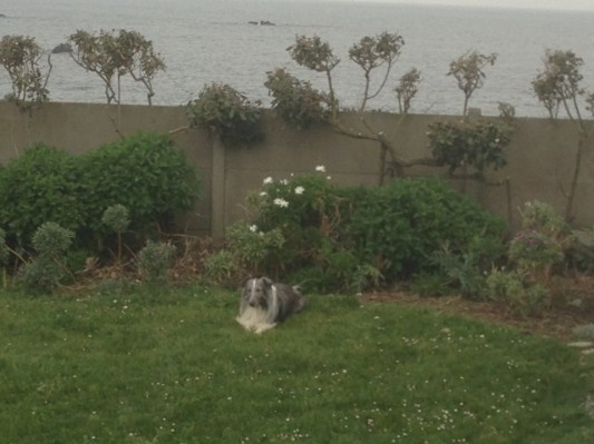 Bretagne 2013 Ostern122.jpg