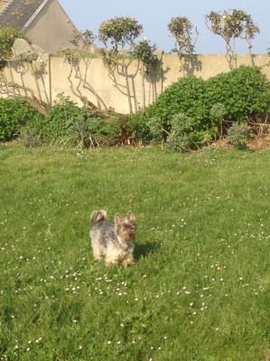 Bretagne 2013 Ostern165.jpg