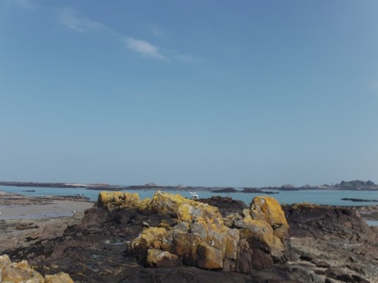 Bretagne 2013 Ostern175.jpg