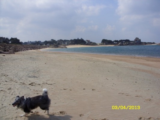 Bretagne 2013 Ostern226.jpg