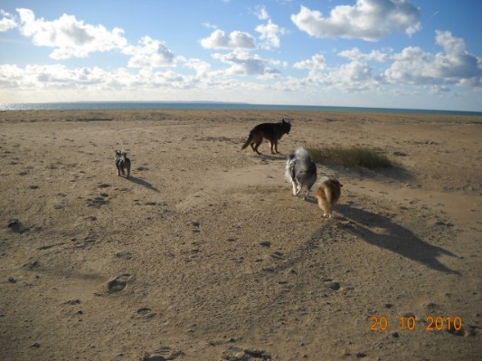 Normandie 201064.jpg