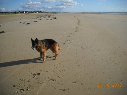 Normandie 201065.jpg