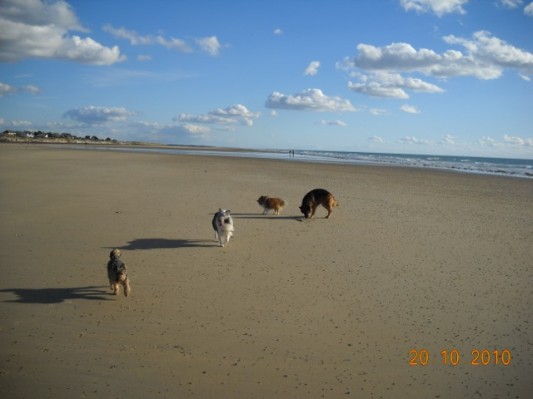 Normandie 201067.jpg